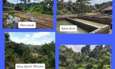 lahan kebun produktif strategis kolam ikan subang