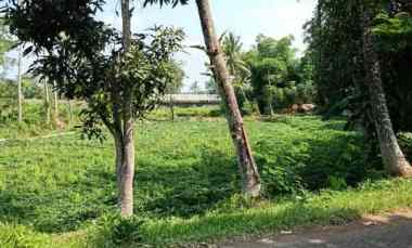 lahan kebun strategis nempel jln desa