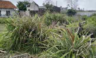 lahan kosong dekat dengan pantai