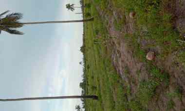 lahan pinggir jalan 15 2ha 4 bangunan