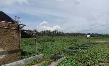 lahan pinggir pantai banten
