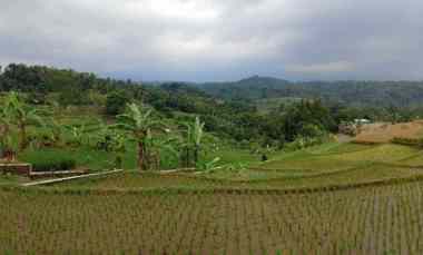lahan sawah dekat wisata water park jalan cagak subang