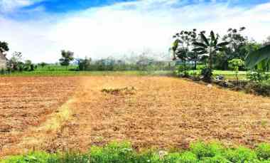 lahan tanah luas 60x41 2478m babelan bekasi