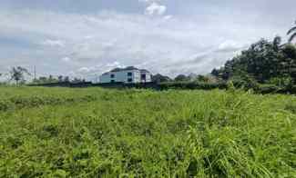 Land For Leasehold in Main Road Tirta Tawar Ubud