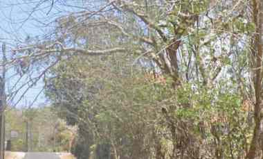 land for leasehold in tirta tawar ubud