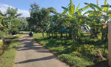 Lokasi Pinggir jl Akses Mobil Lingkungan Penduduk