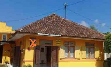 losmen kota wisata batu madewo apples