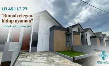 model scandinavian dekat sts type 45 77