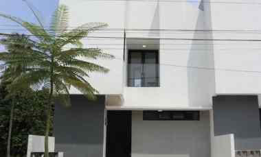 moderen minimalist with natural touch