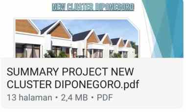 new cluster bridge land diponegoro