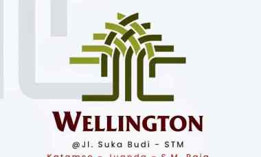 new project jual rumah villa baru komplek wellington