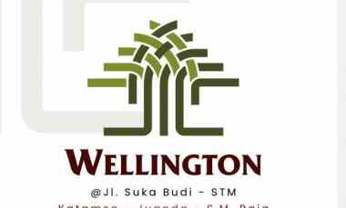 new project jual rumah villa baru komplek wellington
