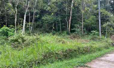 pekarangan datar 3820m siap bangun karangpandan