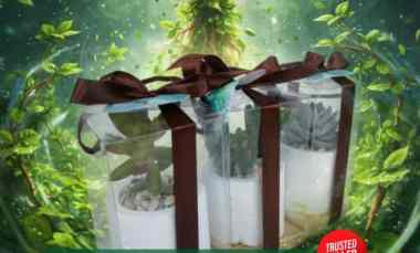 pusat box mika roll cake yogyakarta