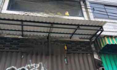 ruko 3 5 lantai lokasi nol jalan di surabaya pusat