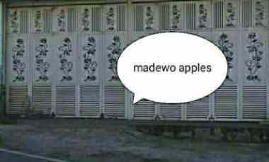 ruko dekat wisata baloga bumiaji batu madewo apples