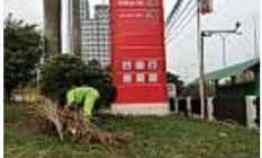 ruko gudang kantor jalan raya cut meutiah