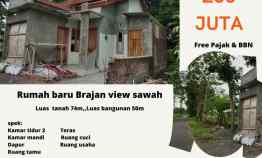 Rumah Baru View Sawah Brajan,Prambanan