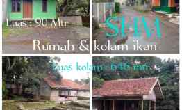 Rumah dan Kolam Deras, Cijambe Subang Jawa Barat