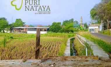 rumah halal tanpa riba cicilan langsung ke developer