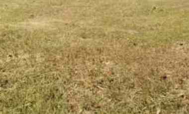 Rumah Hitung Tanah Sutorejo, SHM, Lebar 9