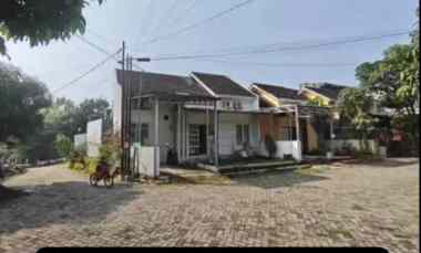 rumah jangli tembalang semarang