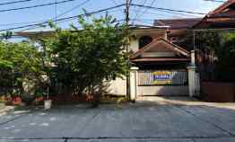 rumah janur hijau kelapa gading