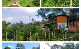 Rumah Kayu Kebun Produktif, Daerah Bukanagara Subang