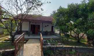 Rumah Kebun Murah Cibungbulang dengan Tanaman Aneka Buah, Bogor