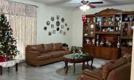 rumah kelapa puyuh kelapa gading