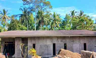 rumah leasehold di selemadeg tabanan bali