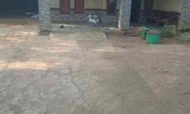 rumah minimalis halaman sangat luas