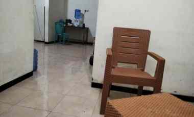 Rumah Minimalis Murah Disewakan