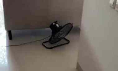 rumah modern minimalis greenlake