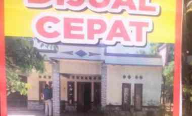 rumah murah halaman luas