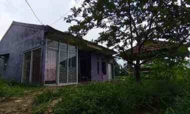 rumah second tanah luas di dramaga bogor