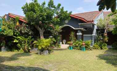 Rumah Tanah Luas 600 M di Sleman
