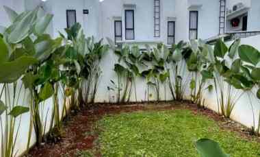 rumah tropis cocok untuk berkebun di halaman belakang