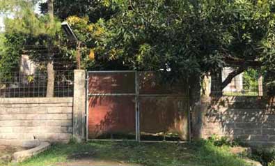 Rumah Walet Bonus Tanah di Tukadaya Melaya Bali