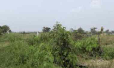 sawah murah bekas kolam