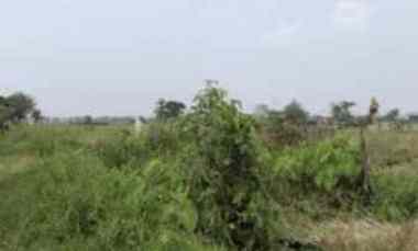 sawah murah lingkungan asri