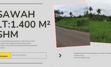 sawah produktif akses arah wisata air panas subang