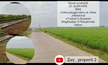 Sawah Produktif, Daerah Subang Jawa Barat