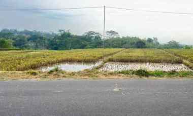 sawah super strategis tepi jalan raya mojogedang