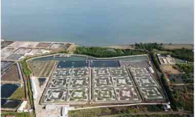 Tambak Udang Situbondo Strategis Murah 10 Ha SHM 20M