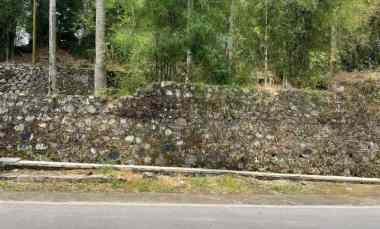 tanah 1 2 hektar strategis dekat pasar karangpandan