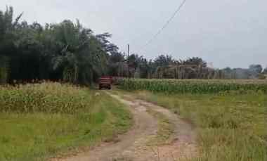 tanah 1 hektar di sabah balau lampung selatan