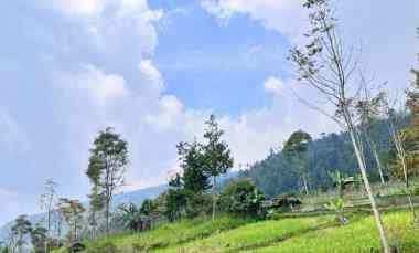 tanah 1 hektar view gunung lawu ngargoyoso karanganyar