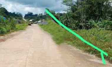 tanah 100 ha di papua barat