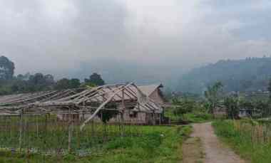 tanah 1000m udara dingin kawasan wisata ngargoyoso